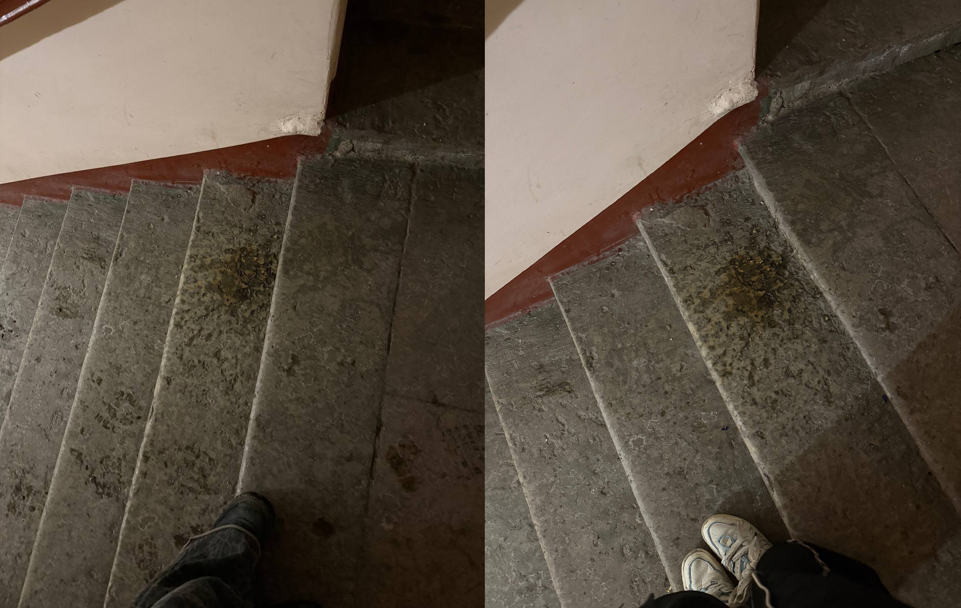 698cd6bd464bf_1770837693 - изображение на LocalQQ