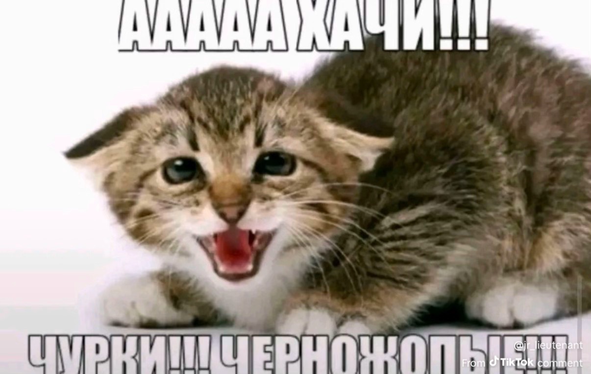 695f055f73609_1767834975 - изображение на LocalQQ