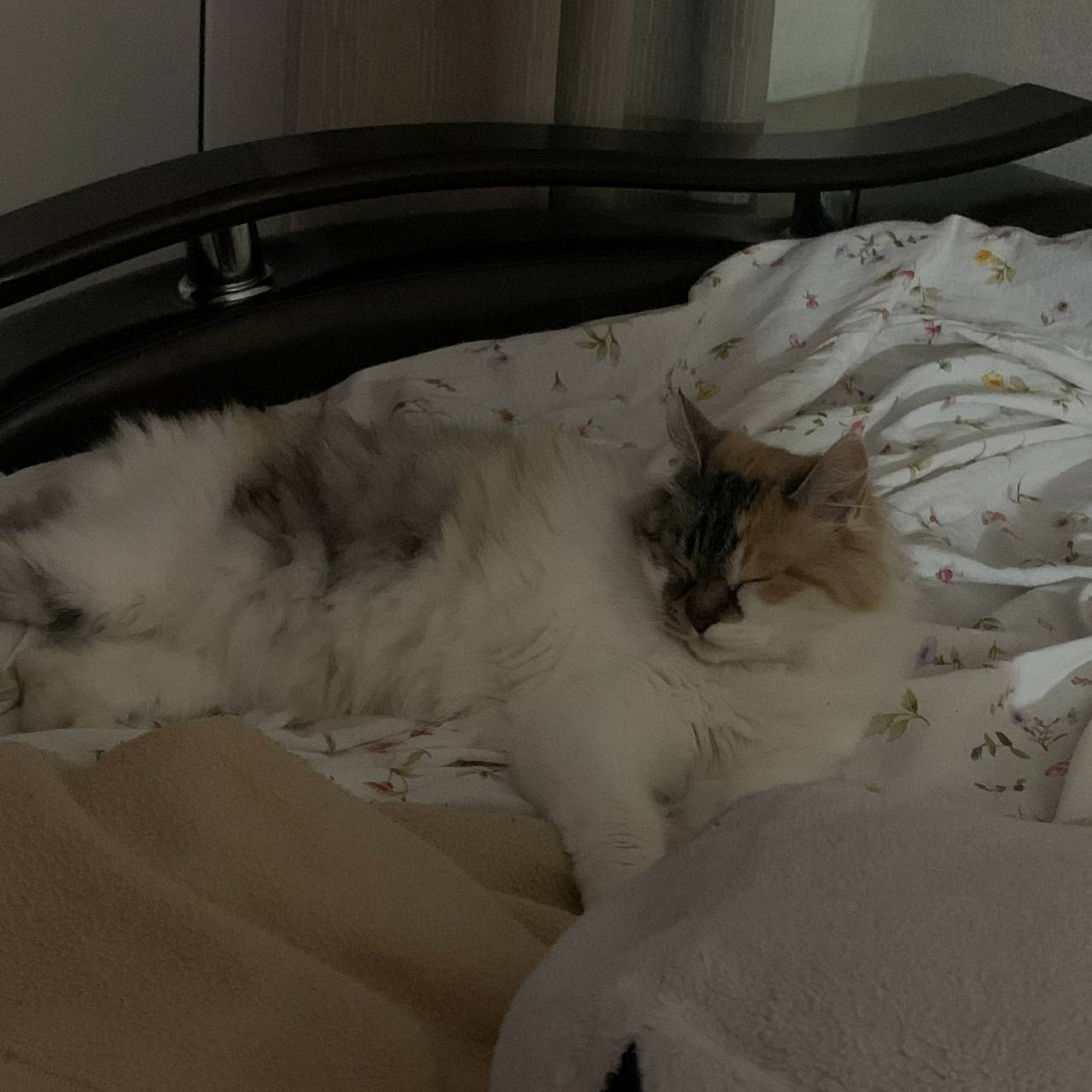 698e61488a139_1770938696 - изображение на LocalQQ