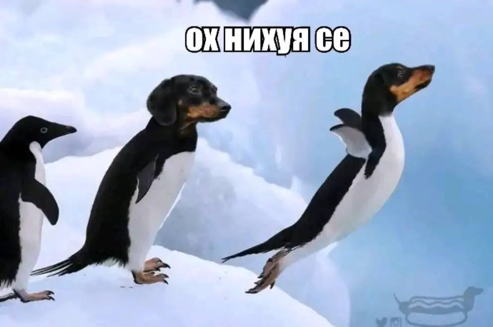 69713735ea88f_1769027381 - изображение на LocalQQ