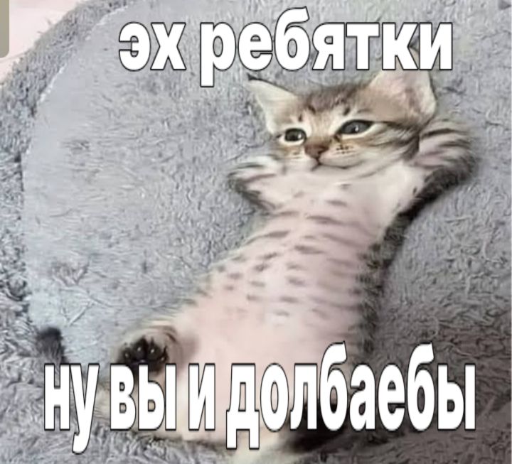 23Kj8N - изображение на LocalQQ