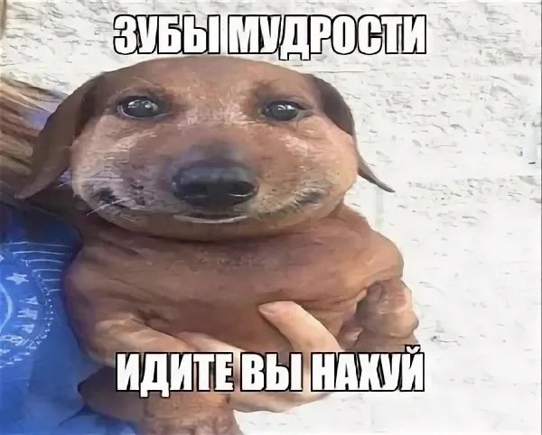 699383cf1d8d4_1771275215 - изображение на LocalQQ