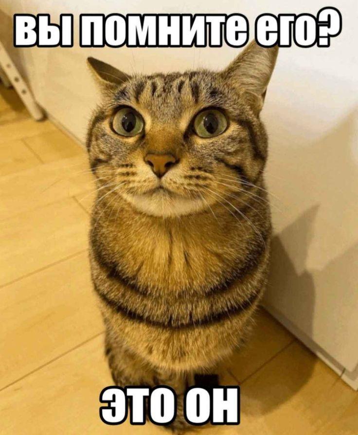 69122ebb8f071_1762799291 - изображение на LocalQQ