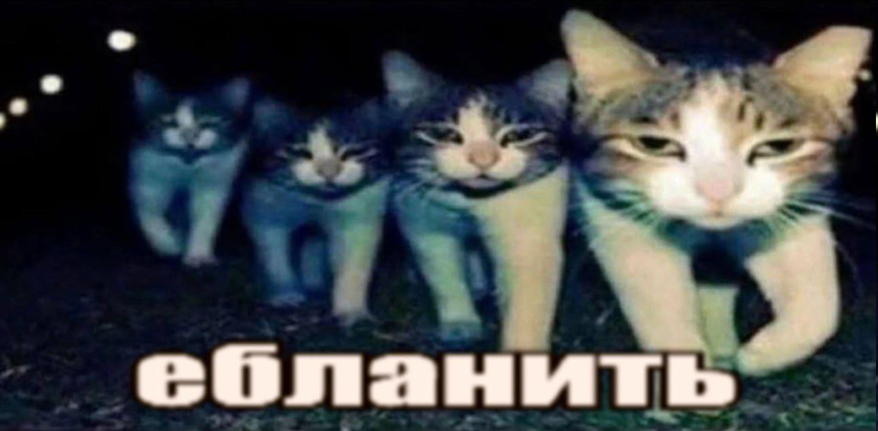 6971441599752_1769030677 - изображение на LocalQQ