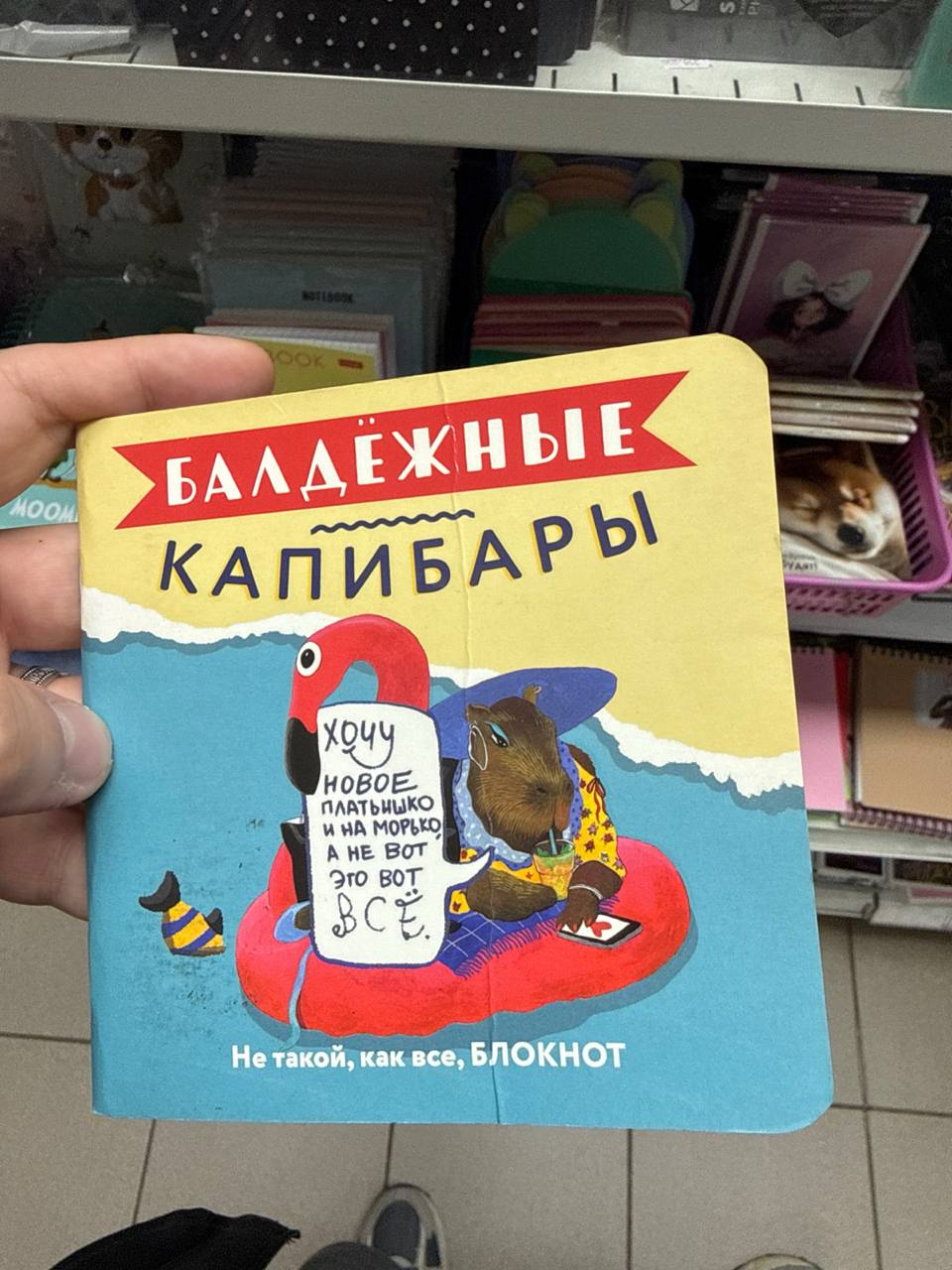 3YHJs2_1789670335 - изображение на LocalQQ