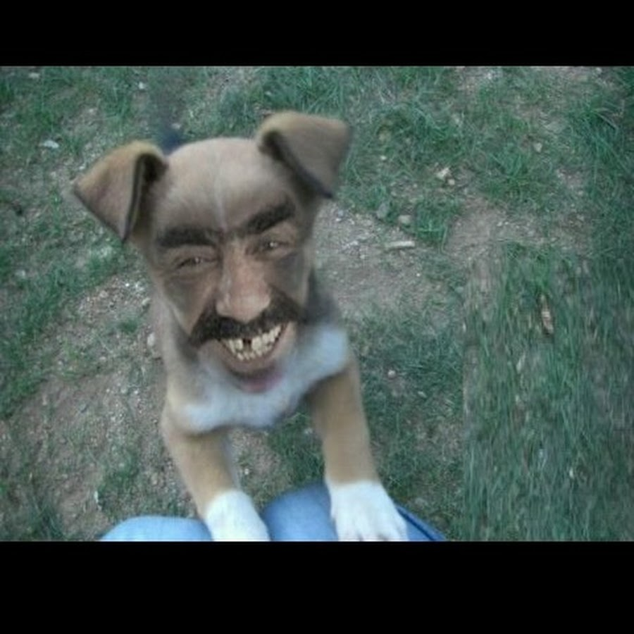 699cfc296dc96_1771895849 - изображение на LocalQQ