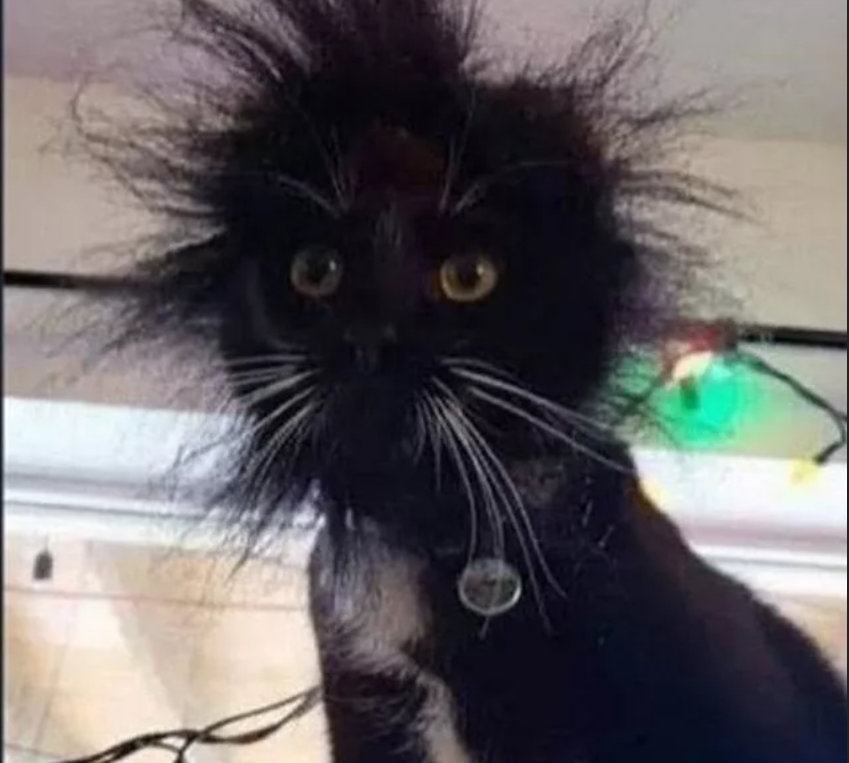 image - изображение на LocalQQ