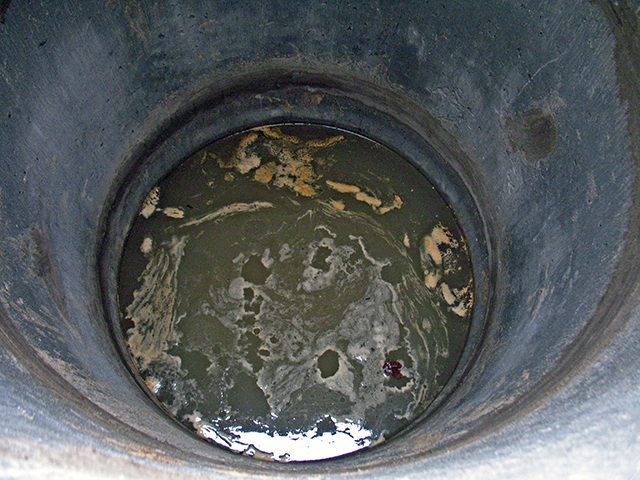 image - изображение на LocalQQ