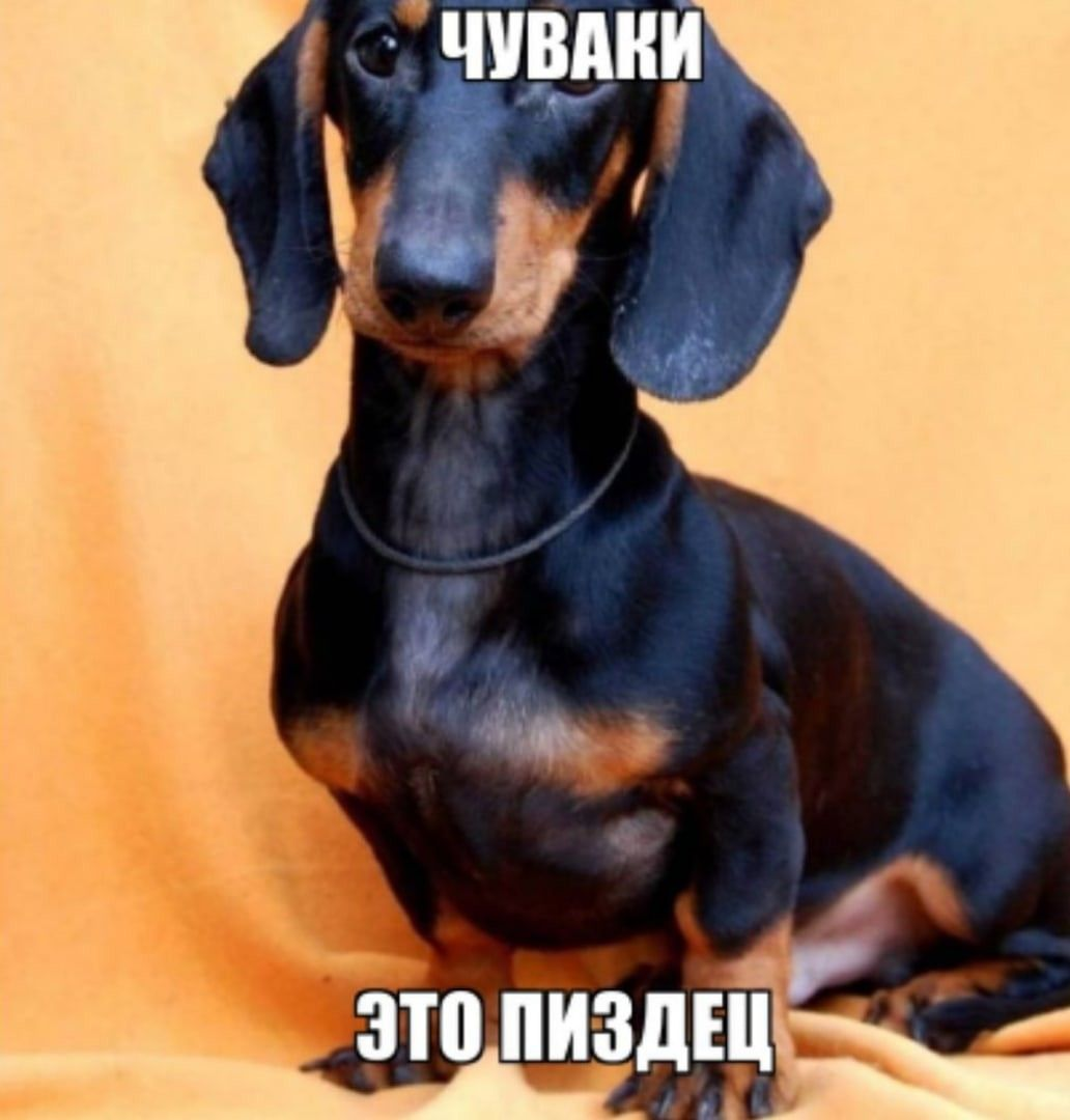 image - изображение на LocalQQ