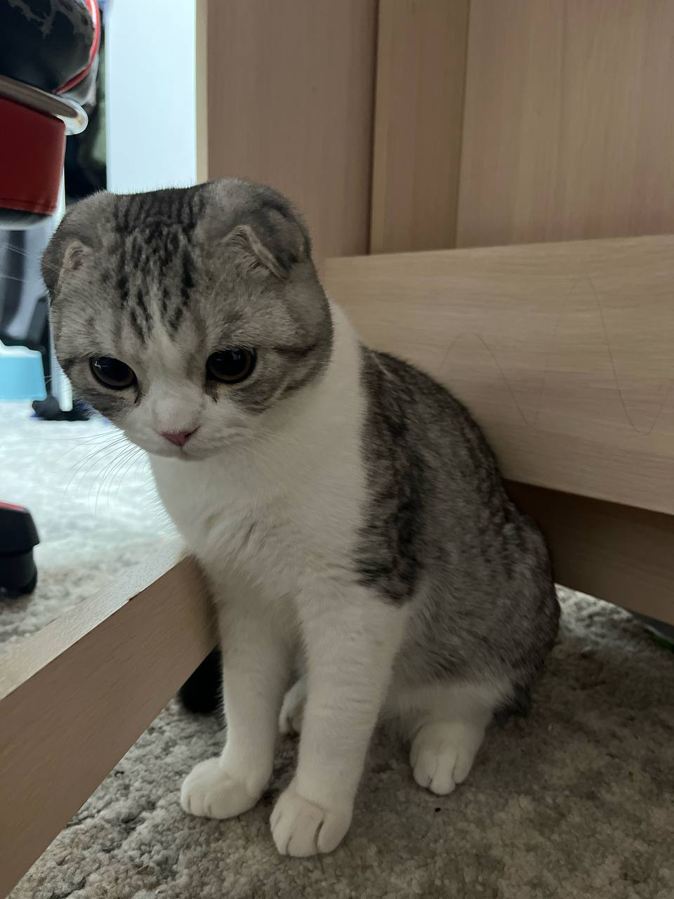 image - изображение на LocalQQ