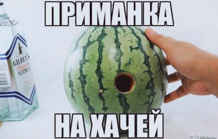 696c2b89b090b_1768696713 - изображение на LocalQQ