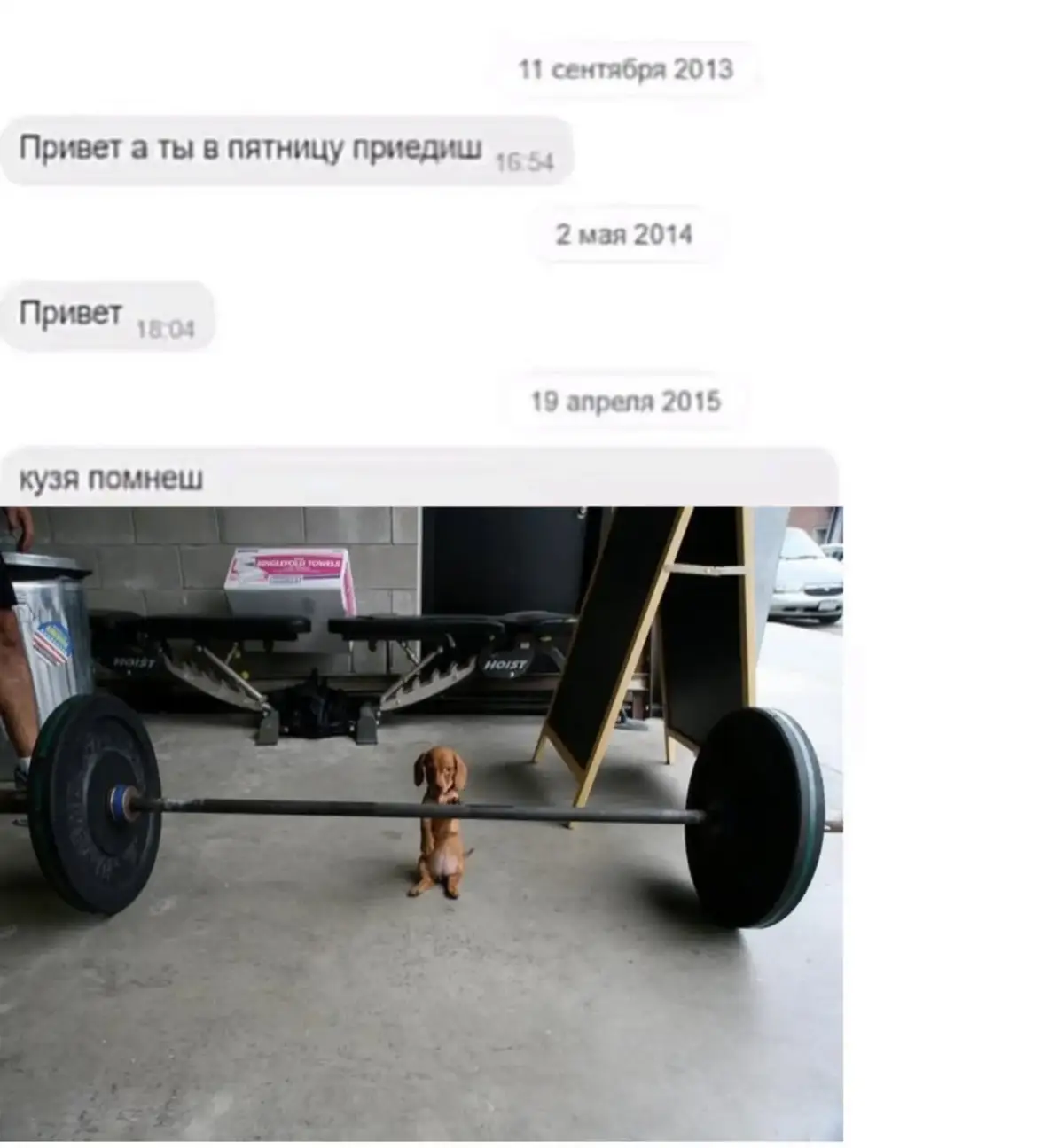 ssstik.io_1787520952299 - изображение на LocalQQ