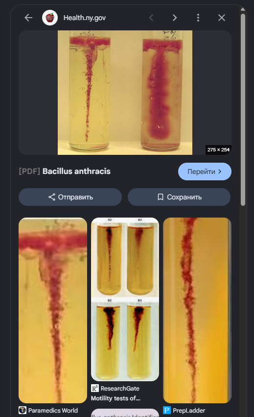 image - изображение на LocalQQ