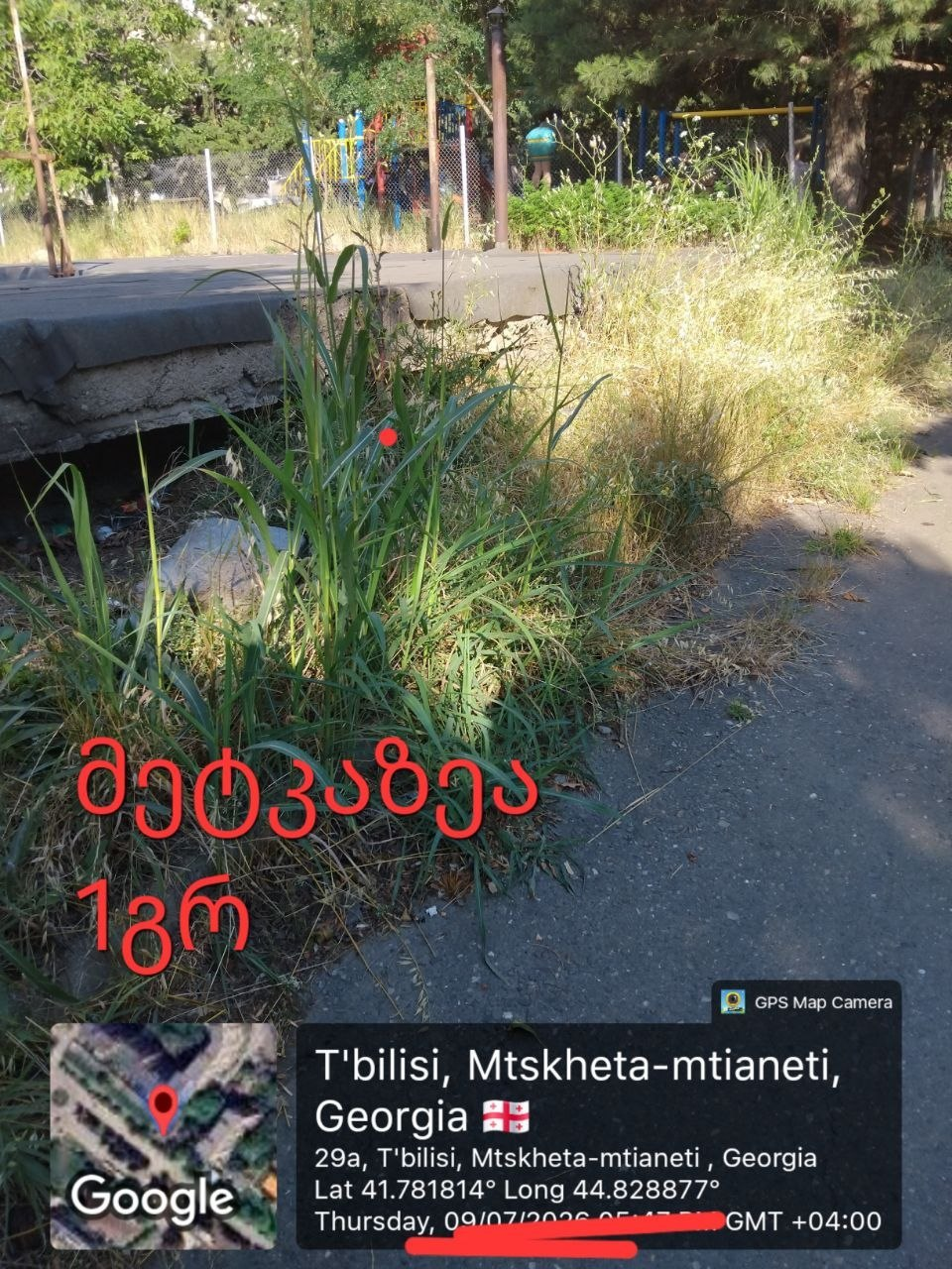 image - изображение на LocalQQ