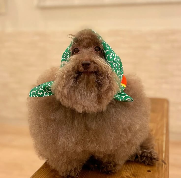 699cfe8616eb1_1771896454 - изображение на LocalQQ