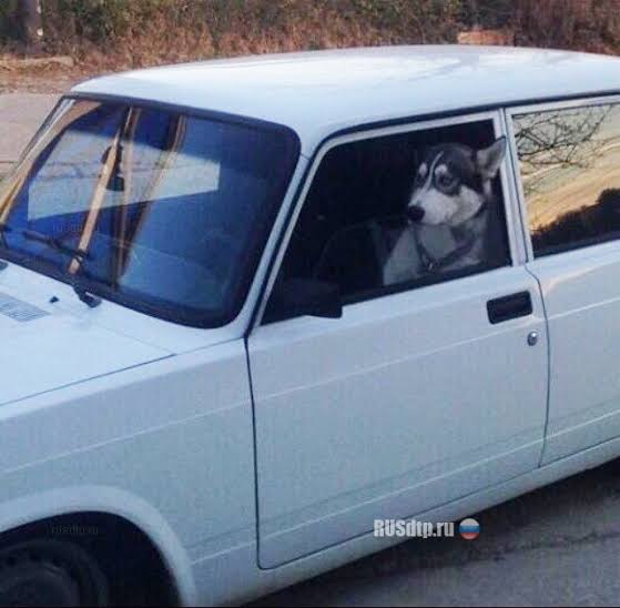 699cfd1a0a95d_1771896090 - изображение на LocalQQ