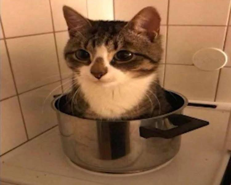 696bfa9eb3320_1768684190 - изображение на LocalQQ