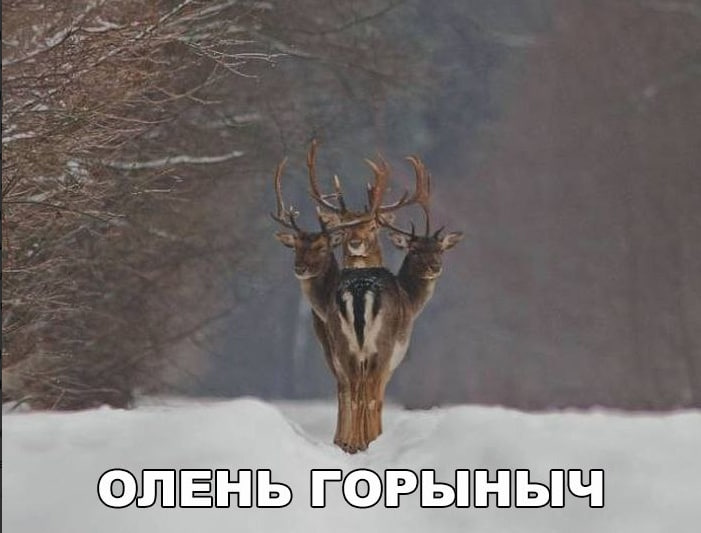 image - изображение на LocalQQ