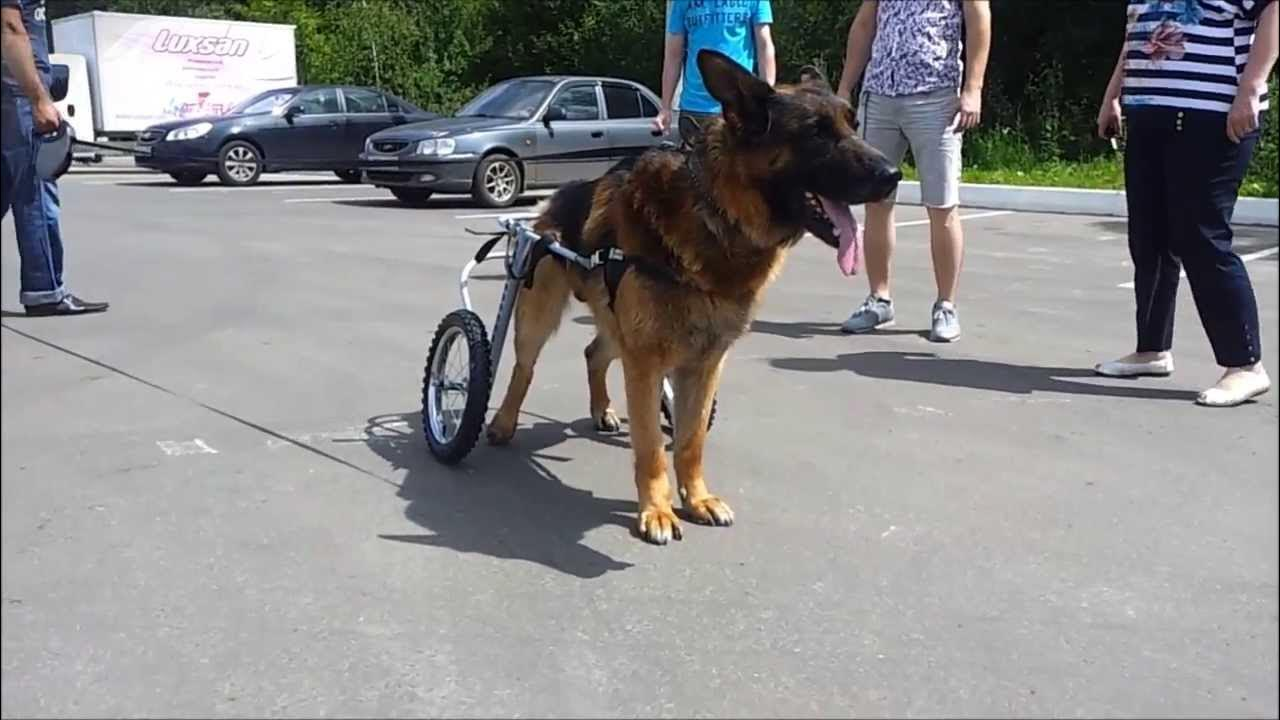 699cfb7596a9c_1771895669 - изображение на LocalQQ