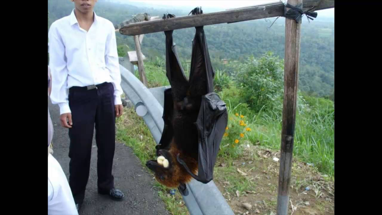 image - изображение на LocalQQ