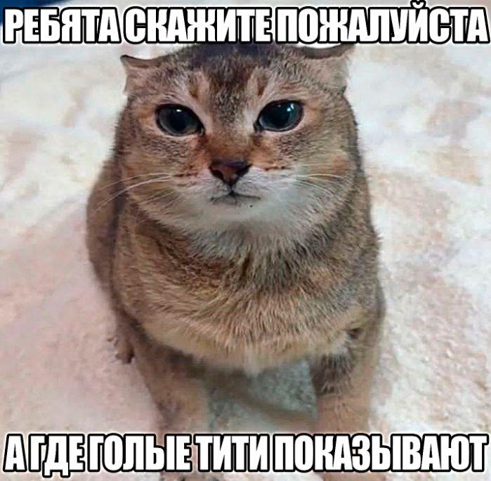 6429806 - изображение на LocalQQ