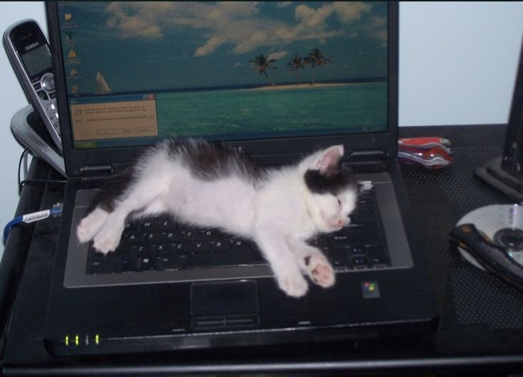 control_v - изображение на LocalQQ