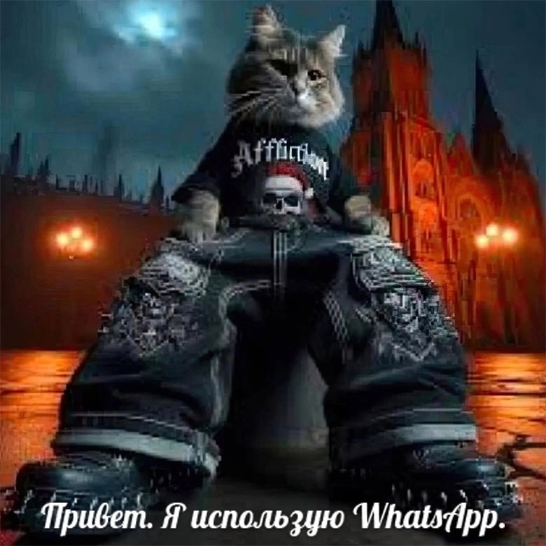 uuD5IdTRDr8 - изображение на LocalQQ