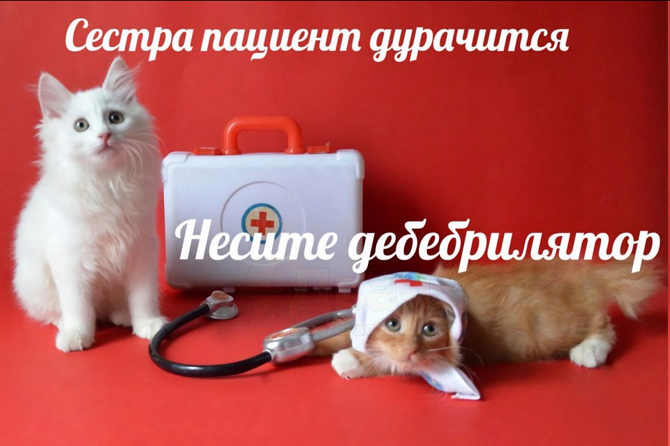 697142b95f3f5_1769030329 - изображение на LocalQQ