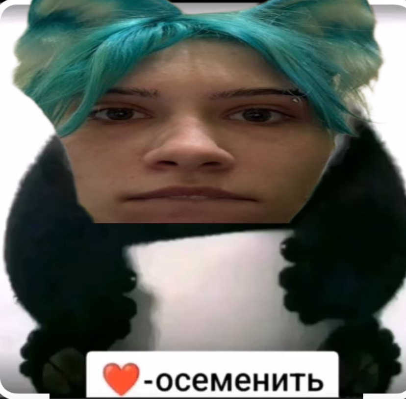 C27F492E-0D5E-4EEF-B3B6-65BAA33317C3 - изображение на LocalQQ