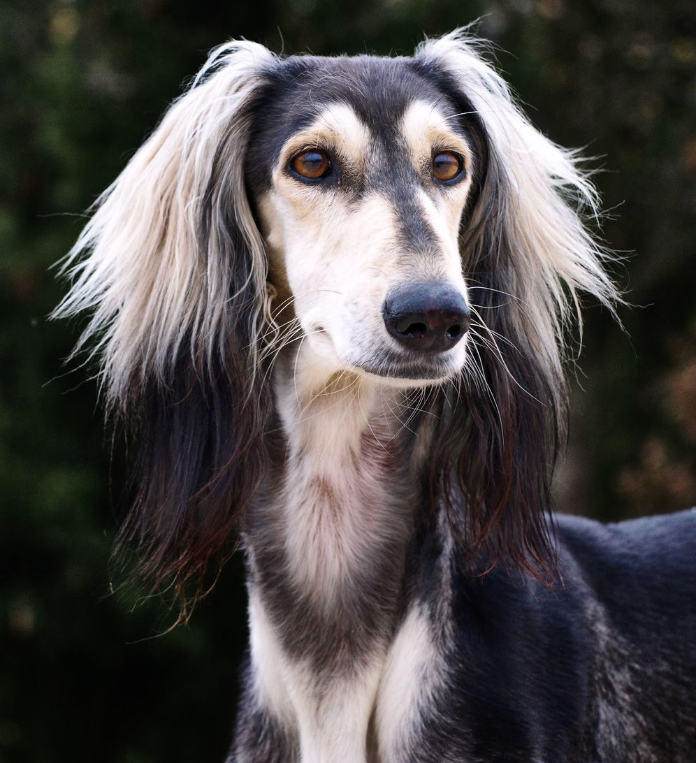 699cfe2ea46e4_1771896366 - изображение на LocalQQ