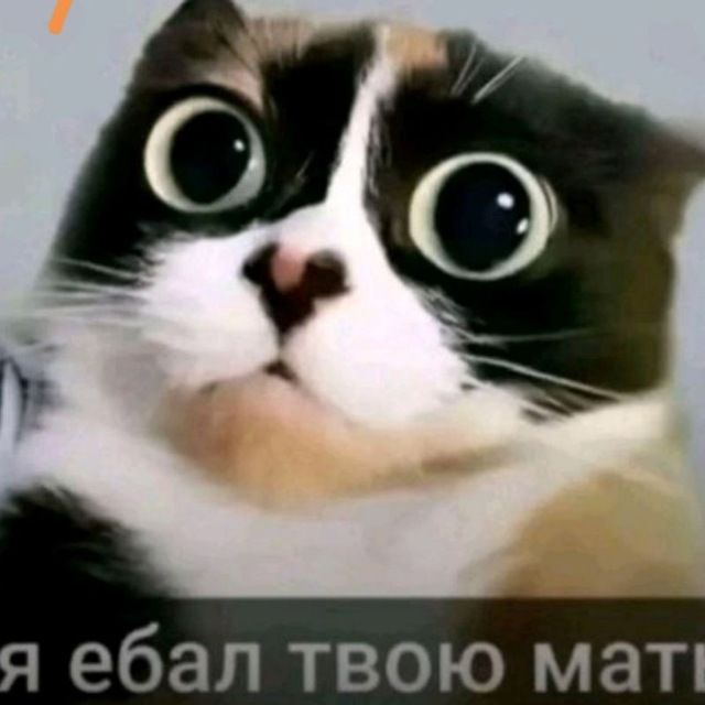 image - изображение на LocalQQ