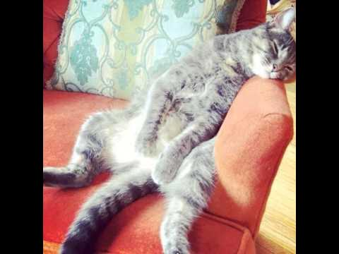 control_v - изображение на LocalQQ