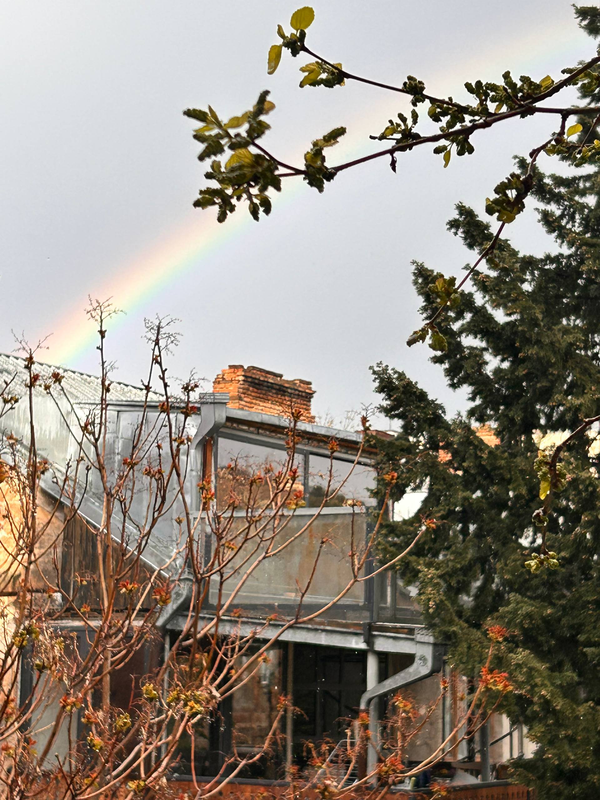 image - изображение на LocalQQ