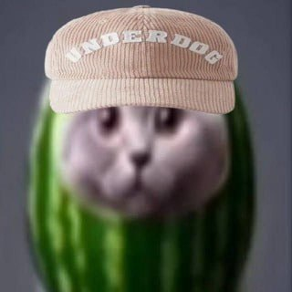 image - изображение на LocalQQ