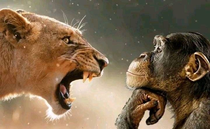 image - изображение на LocalQQ