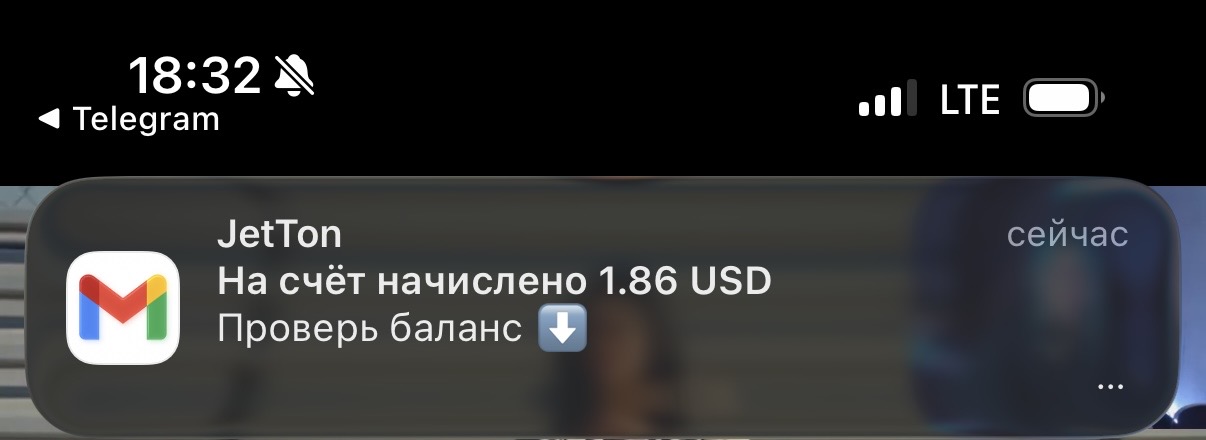 IMG_1733 - изображение на LocalQQ