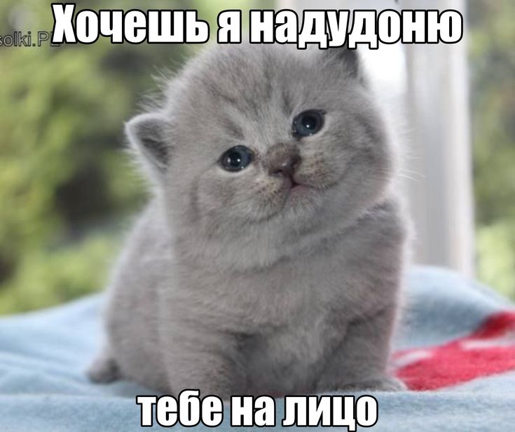 6930b83505f26_1764800565 - изображение на LocalQQ