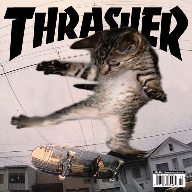 image - изображение на LocalQQ