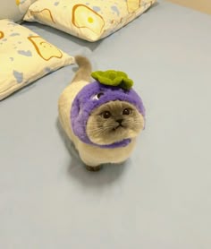 кот5 - изображение на LocalQQ