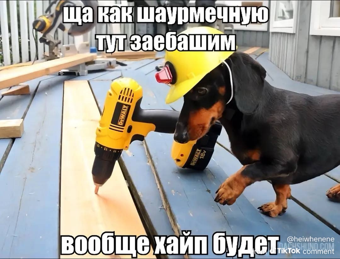 696c2c0028db8_1768696832 - изображение на LocalQQ