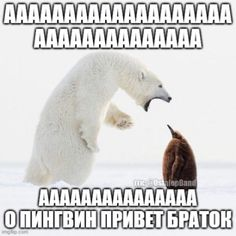 6930b7dc98b82_1764800476 - изображение на LocalQQ