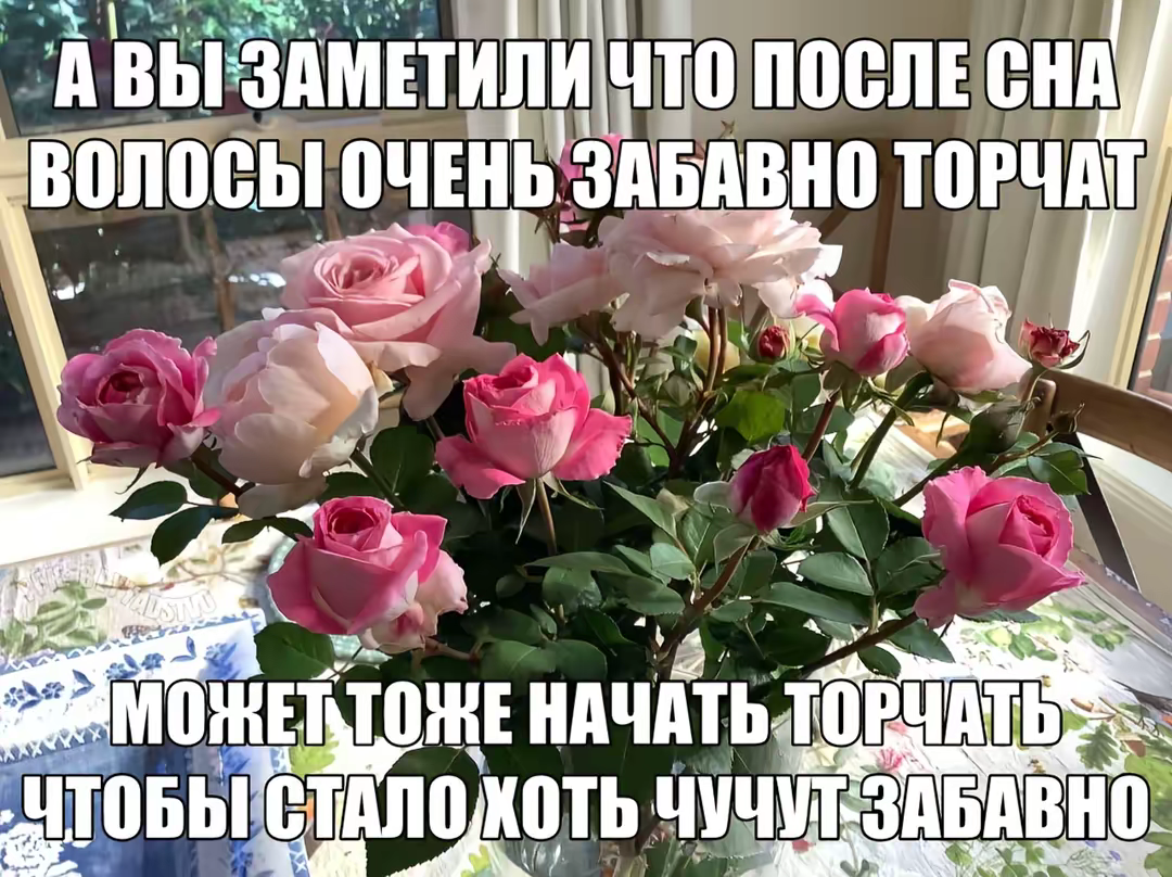 6950501f1052d_1766871071 - изображение на LocalQQ