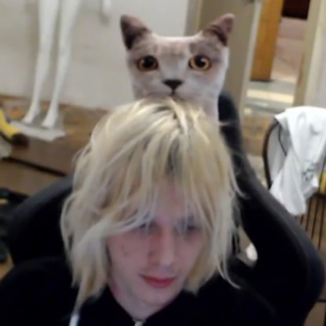 image - изображение на LocalQQ