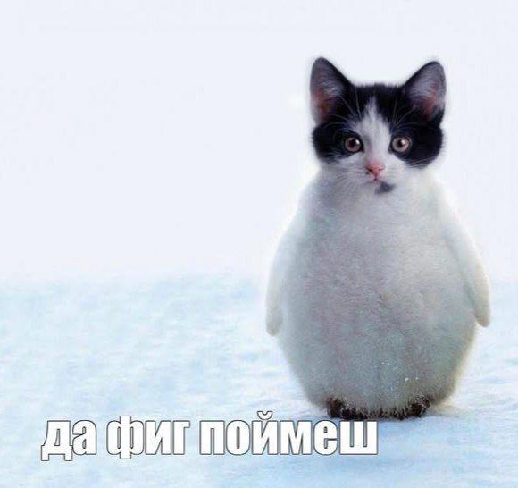 695ec21b32f39_1767817755 - изображение на LocalQQ