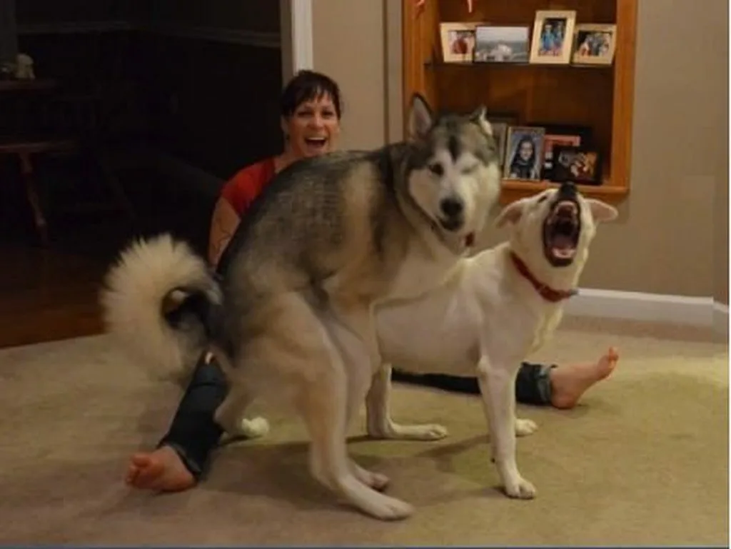 699cfd185ffce_1771896088 - изображение на LocalQQ