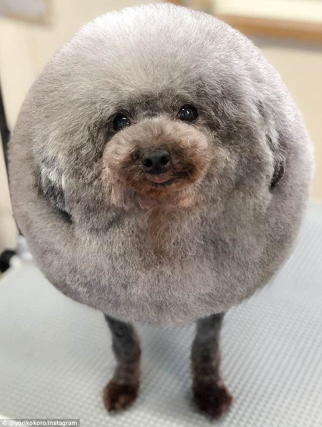 699cfde6126cf_1771896294 - изображение на LocalQQ