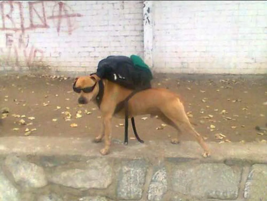 699cfc8ac8c81_1771895946 - изображение на LocalQQ