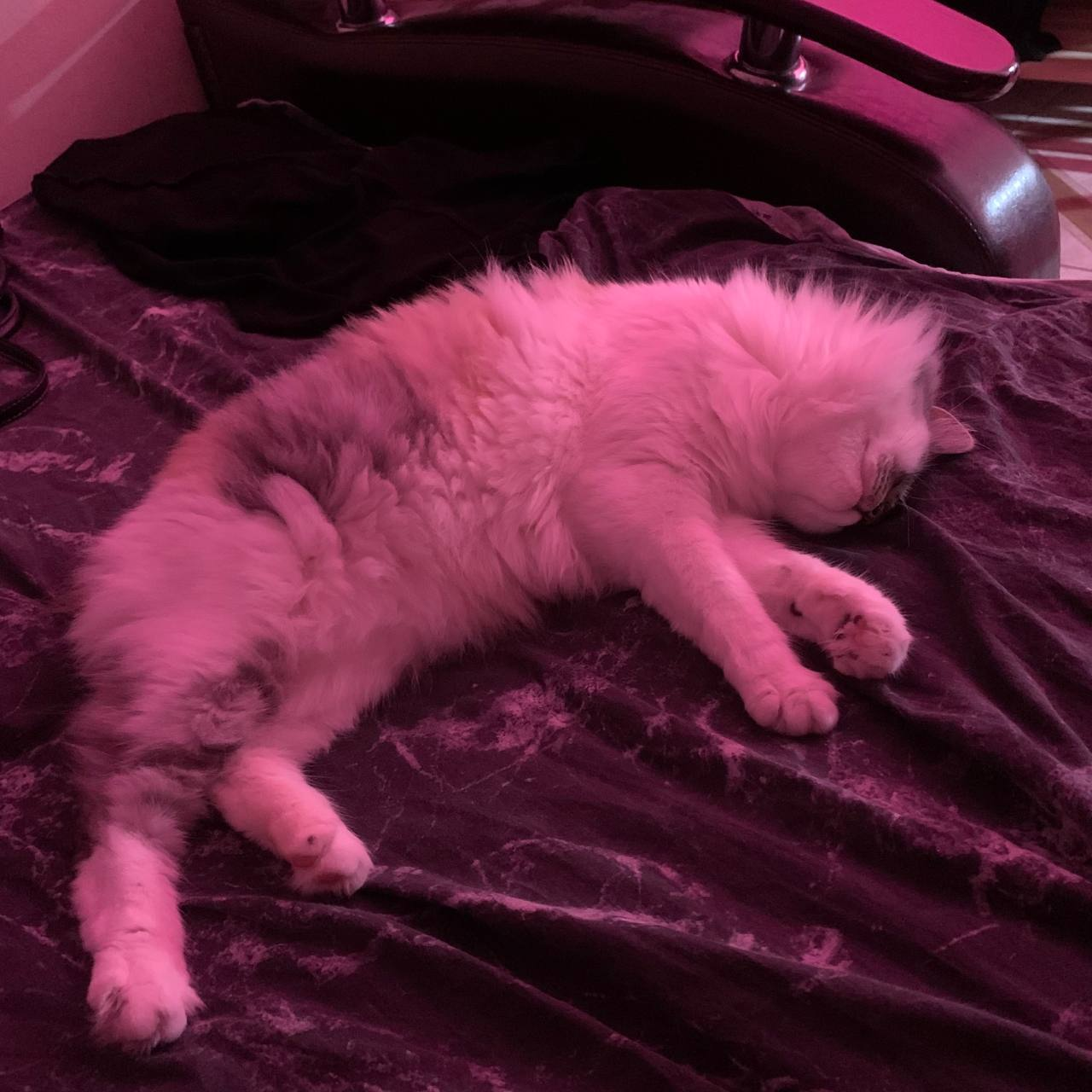 698e606979bf4_1770938473 - изображение на LocalQQ