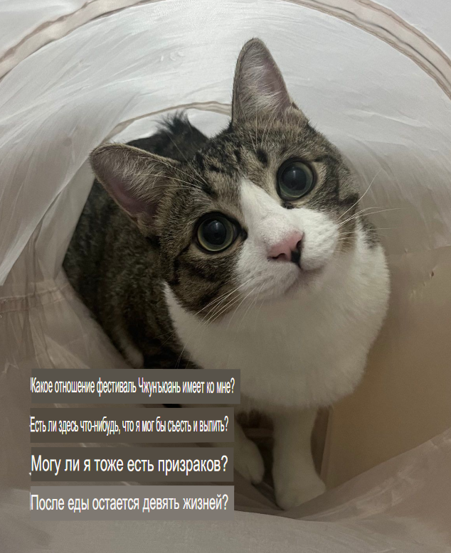 image - изображение на LocalQQ