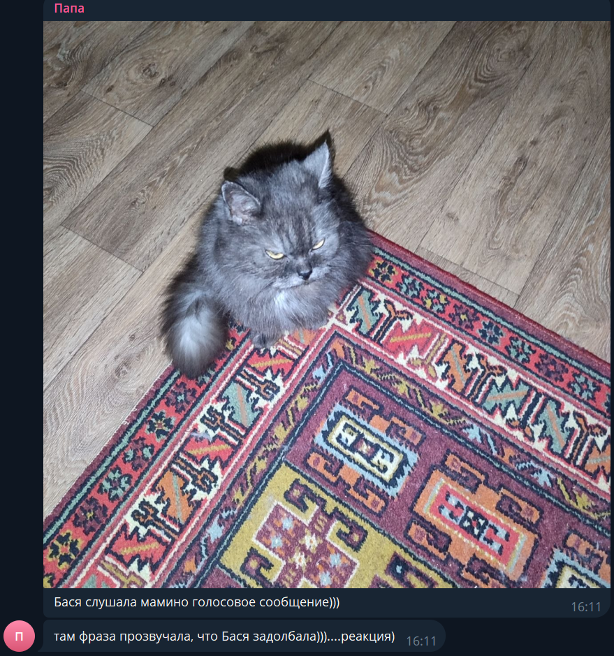 control_v - изображение на LocalQQ